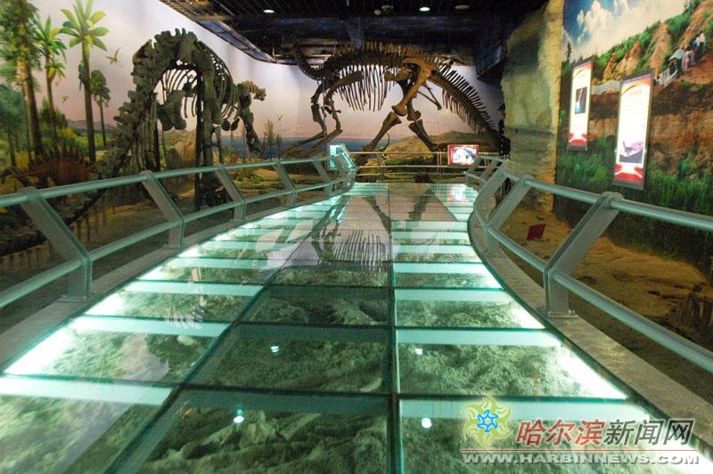 地质博物馆展龙江地质演变过程(组图)