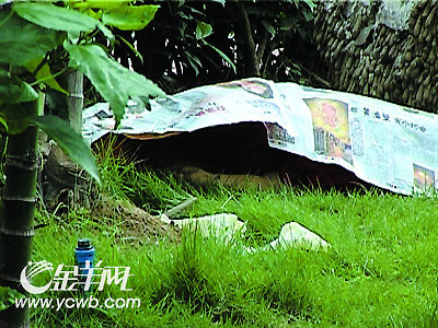 公園驚現兩歲女童屍體(圖)