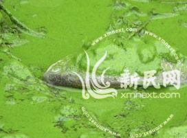 网友提供的图片