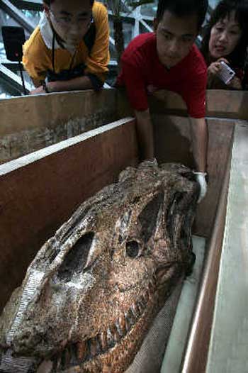 首度造访上海的国宝级恐龙化石———亿万年前的和平永川龙的头骨终于