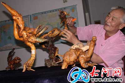 孔昭金老先生在整理自己收集的部分天然造型根艺作品。