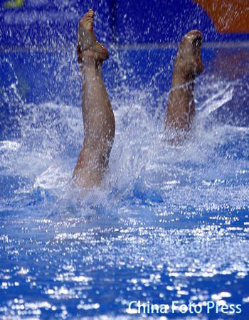 奥运图库——2008年奥运会跳水选拔赛
