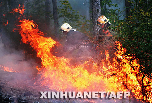 高温热浪袭击欧洲 自然灾害频发(组图)