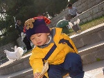 2.我和鸽子亲密接触