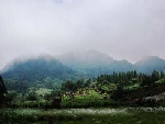 DSC_6054