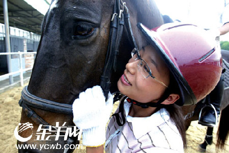图文：探访奥运马术广州备用马 要学会与马交流