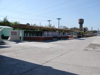 春满基地