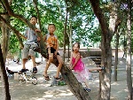 DSCF5327
