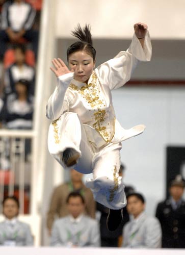 图文:[武术]城运会女子太极拳 一招飞龙在天