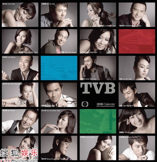 TVB2008