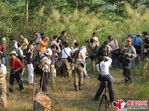 组图:在野外人体艺术原来是这样拍摄的
