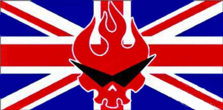 英国议员提议新国旗 龙戴墨镜设计胜出(图)