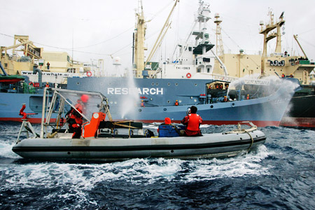 1月18日,日本第二勇新丸号捕鲸船向绿色和平组织的小艇喷射高压水枪