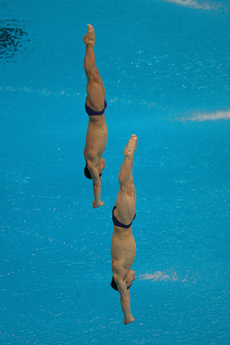 综合体育 跳水 最新动态 第16届跳水世界杯赛 关注中国选手