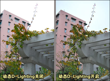 ῵D60̬D-Lighting