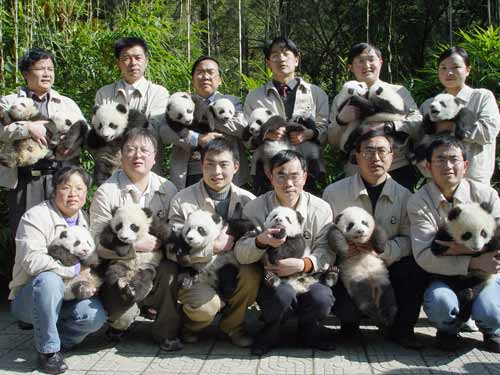 2005年生16只熊猫宝宝与科研人员合影