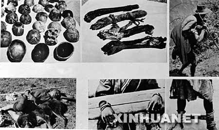 7藏贵族玩农奴图片图片