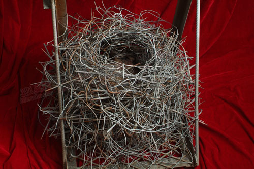 国家体育场（鸟巢）发现喜鹊搭建的铁制鸟巢