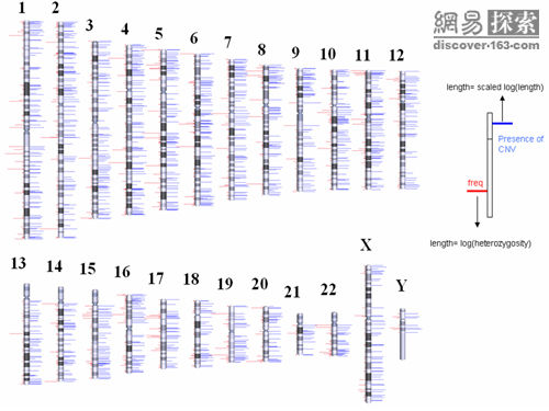 《自然》雜誌公佈全球首個個人基因組圖譜