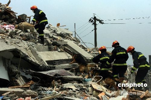 汶川大地震之"最:悲痛与感动并存(图)