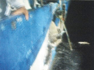 台湾海钓船“联合号”被撞画面昨天（12日）曝光，画面中清楚可见被日本舰艇撞破的船身。（图：台湾《联合报》）