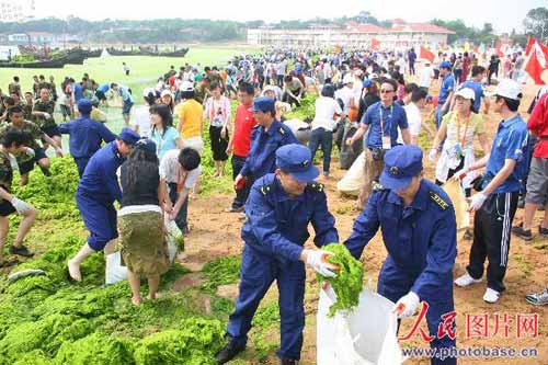 繁忙的抗绿藻战斗场面