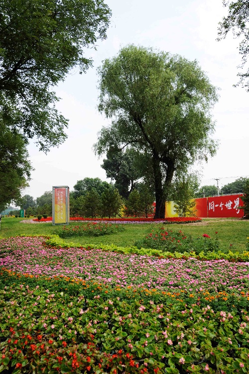 北京街心花园图片