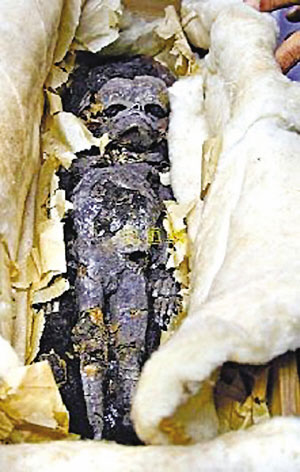 图为即将验dna的木乃伊是5至7个月的死胎