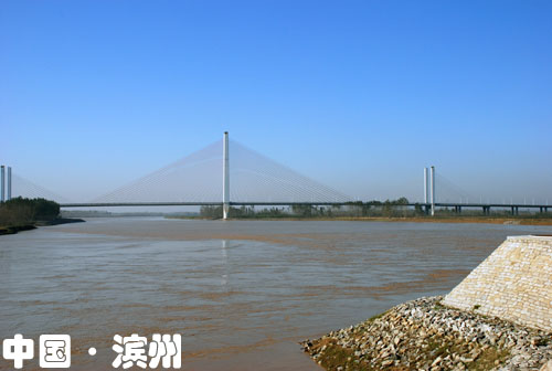 濱州高速黃河大橋(圖)