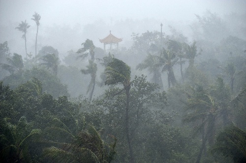 组图:台风黑格比登陆广东湛江风雨交加