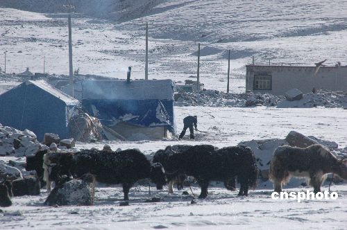 雪后探访当雄地震灾区中心地带