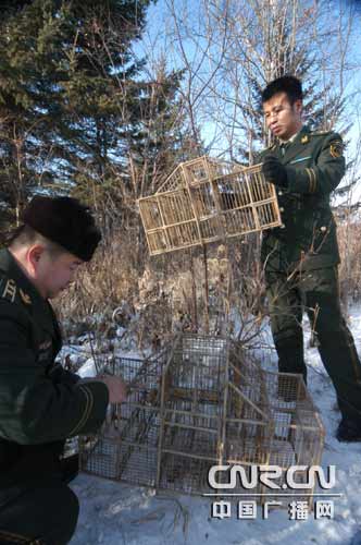 边防官兵在清理捕鸟笼