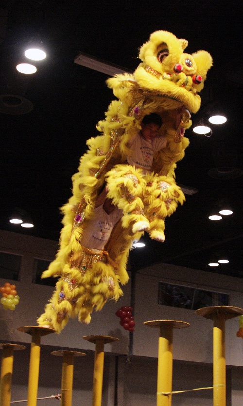 文车龙狮艺术团在巴拿马城为巴拿马华人华侨和当地民众表演高桩醒狮
