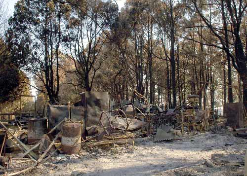 澳大利亚维多利亚州火灾导致7000多人无家可归
