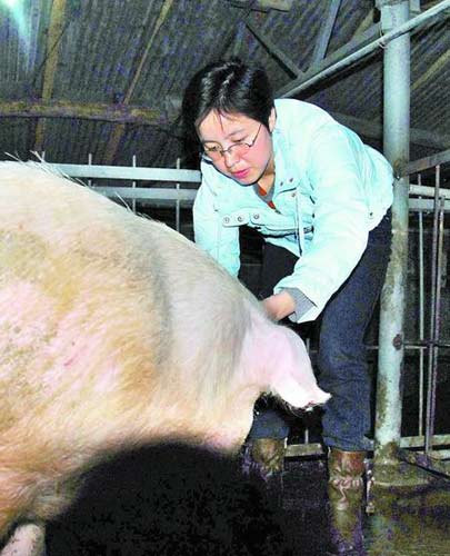 朱艳霞自主创业办起养猪场