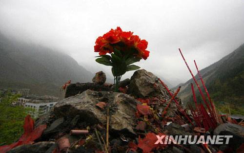 4月2日，在北川县老县城的山头上，吊唁者放上一束红色的塑料花，祭奠逝去的亲人。新华社发（钟敏 摄） 