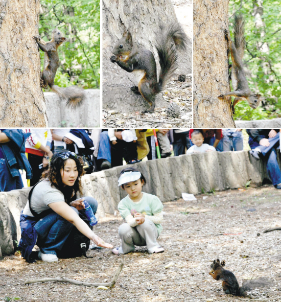 人与松鼠