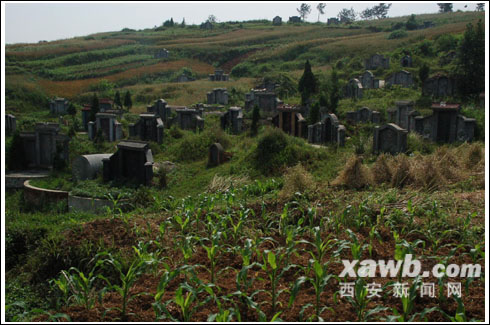 陕西一村山上坟墓上百个 人均土地不足半亩(图)