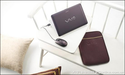 VAIO W 10