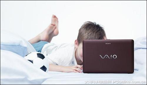 VAIO W 10