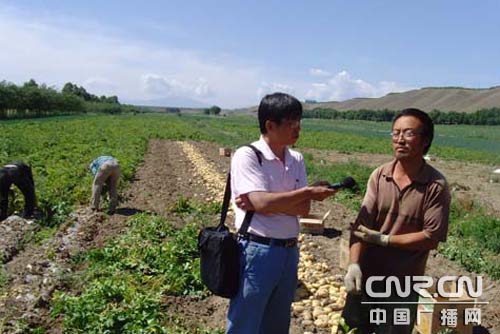 乌鲁木齐蔬菜瓜果供应充足(组图)