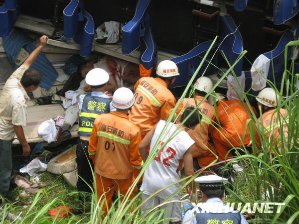 福建宁德发生车祸图片