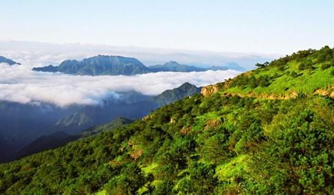 武夷山主峰黃崗山