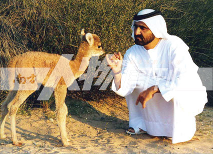 Sheikh Mohammed bin Rashid al-MaktoumһֻСˣ