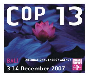 2007 ꣬COP13 ӡ嵺Уͨˡ嵺жƻ