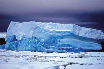 2.5 亿年前，南极洲曾是全球变暖气候灾难中的动物避难所