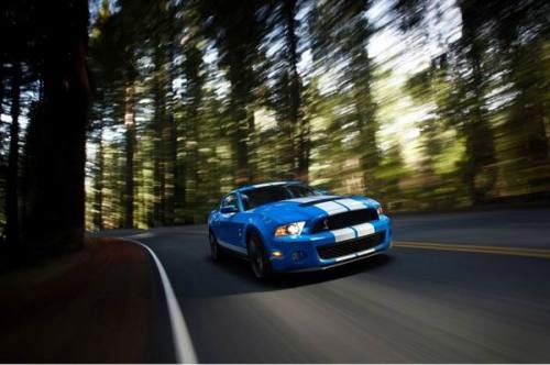 022010Shelby-GT500