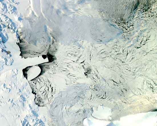 从南极看地球的图图片