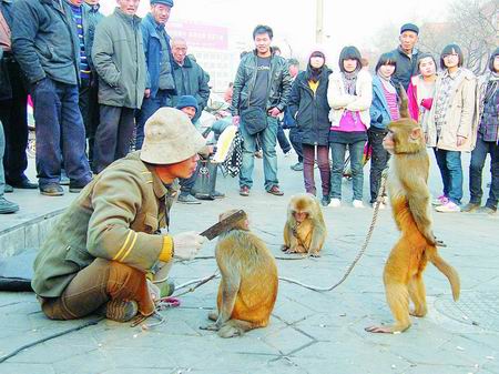 驯猴人在用菜刀"吓唬"猴子记者王玮皓图