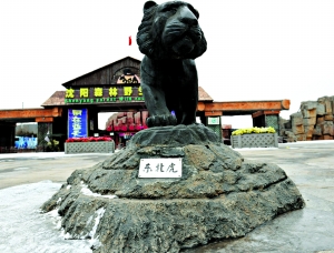 沈阳野生动物园空荡荡的大门口，冬季是游园淡季，有时是零游客